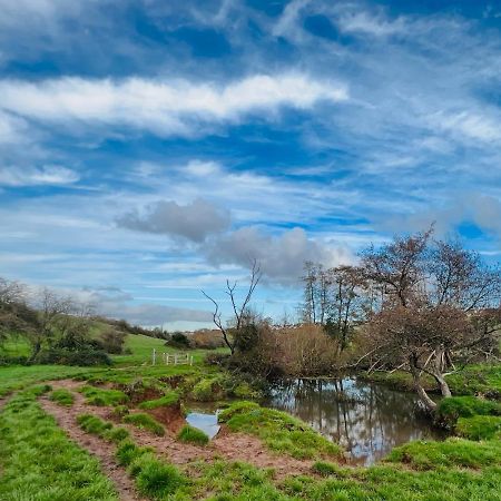 Dapps Hill Haven - Between Bristol And Bath, Both 9 Mins By Train! Кейншам Екстериор снимка